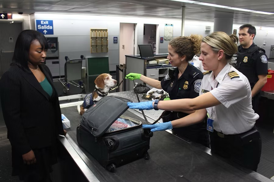 Global Entry TSA Precheck Clear