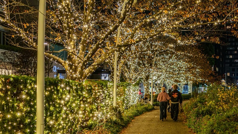 Japan at Christmas Couples