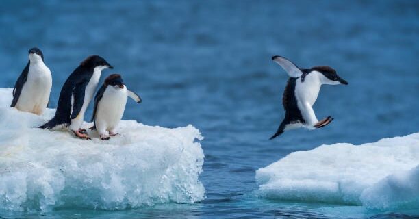 Antarctica