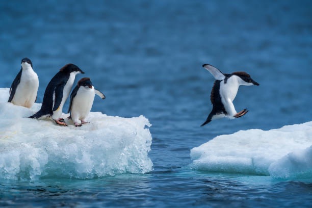 Antarctica