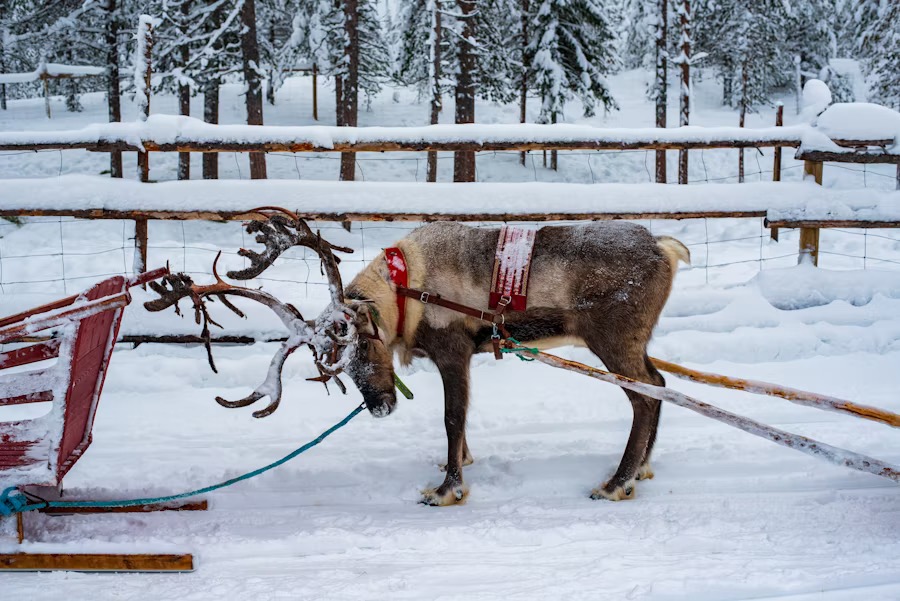 Lapland, Finland covered in snow