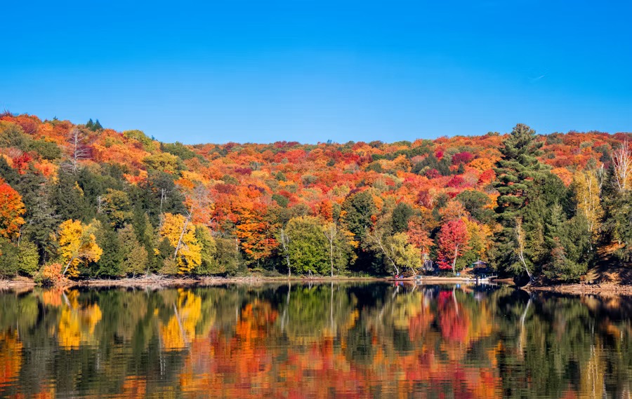 New England Fall Colors