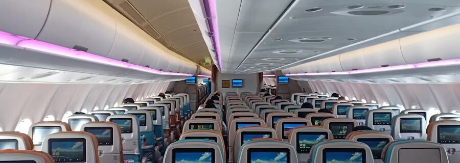 Long International Flight