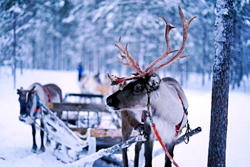 Christmas in Finland